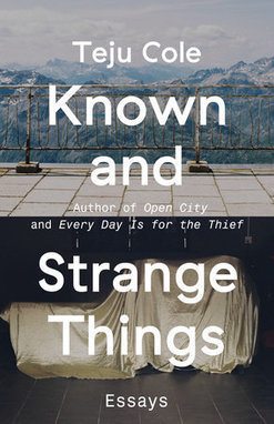 Essay Collection: Teju Cole's 'Known and Strange Things' | Writers & Books | Scoop.it