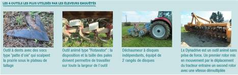 Le projet PRAIGLY : Destruction des prairies sans glyphosate ni labour | Lait de Normandie... et d'ailleurs | Scoop.it