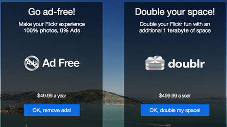 Flickr Offers 1TB of Free Space for Your Photos, $50 Yearly for No Ads | Technologie Au Quotidien | Scoop.it