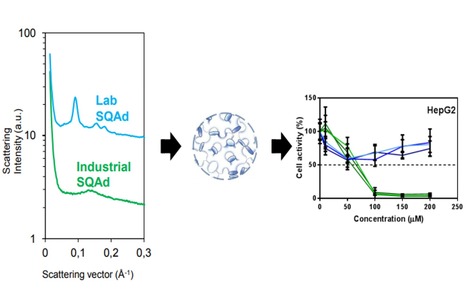Nanom&eacute;dicaments, de la recherche &agrave; la clinique : Les enjeux d&rsquo;un nouveau d&eacute;fi | Life Sciences Universit&eacute; Paris-Saclay | Scoop.it