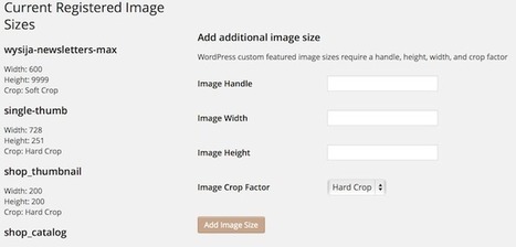 Media Tools, un plugin pour gérer vos images sous WordPress | -thécaires... | Avenir des Bibliothèques | Outils de Veille & de Curation | Scoop.it