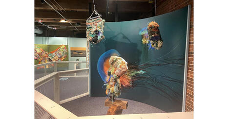 Oceans of Empathy Exhibit at Boston Children's Museum | Empathy Movement Magazine | Scoop.it
