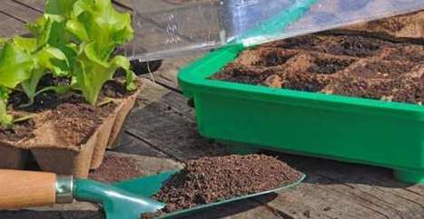 Mese di ottobre: semina raccolto e lavori nell'orto | Orto, Giardino, Frutteto, Piante Innovative e Antiche Varietà | Scoop.it