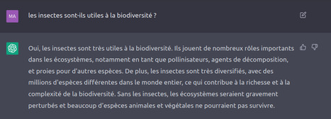 Les insectes sont-ils utiles à la biodiversité ? Voici la réponse de ChatGPT | Variétés entomologiques | Scoop.it