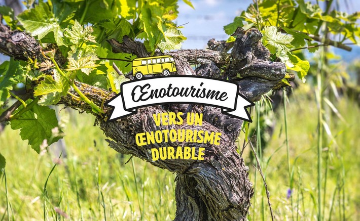 Vers un œnotourisme durable | Tourisme durable | Scoop.it