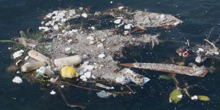 La M&eacute;diterran&eacute;e, mer poubelle | Biodiversit&eacute; | Scoop.it