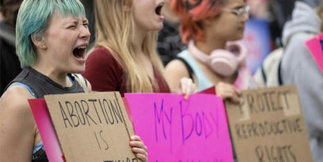 GOP scrambles to rebrand policies as 'pro-baby' after nonstop political backlash - Raw Story | Operation Oya | Scoop.it