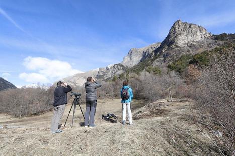 Un point sur les pèlerins | Biodiversité | Scoop.it