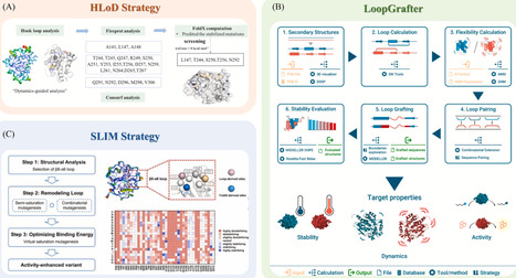 From traditional to AI-driven: The evolution of intelligent enzyme engineering for biocatalysis | BAdv | RMH | Scoop.it
