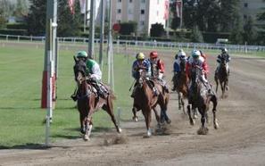 Auch. La saison hippique d&eacute;bute demain - La D&eacute;p&ecirc;che | Professionnels du tourisme du Grand Auch C&oelig;ur de Gascogne | Scoop.it