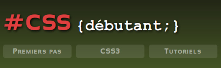 CSS Débutant : cours et tutoriels sur les feuilles de style CSS | TIC, TICE et IA mais... en français | Scoop.it