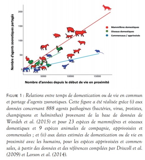 Élevage, biodiversité et émergence de pandémies | EntomoNews | Scoop.it