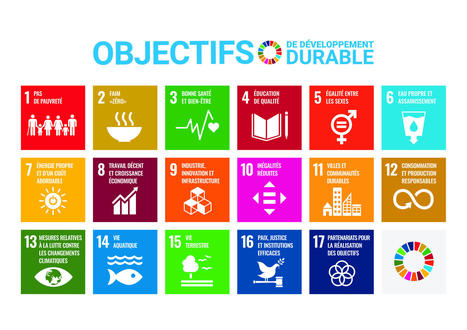 Un MOOC pour sensibiliser les &eacute;tudiant&middot;e&middot;s &agrave; la transition &eacute;cologique et sociale | TRANSITION AGROECOLOGIQUE : PRATIQUES ET POLITIQUES AGRICOLES | Scoop.it