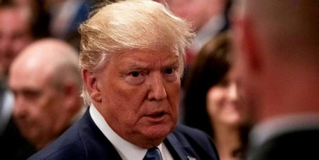 'Oh my lord!' CNN legal analyst astounded by 'all the crimes' Trump and his lawyers could be charged with - RawStory.com | Backstabber Watch | Scoop.it