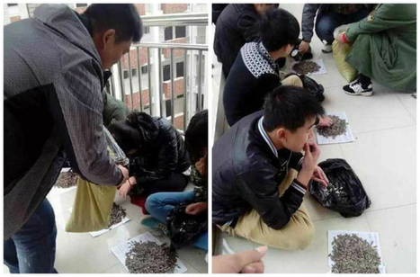 Hunan teacher punishes students by forcing them to snack on 50kg of seeds | News-from-China | Scoop.it