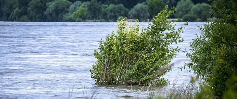 Bosnia and Herzegovina submits its third national report on climate change | Energy Transition in Europe | www.energy-cities.eu | Scoop.it