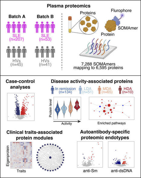 JCI Insight - Mapping the plasma proteomic architecture of systemic lupus erythematosus | AUTOIMMUNITY | Scoop.it