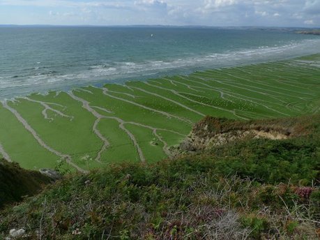 La malédiction des phosphates : dans les coulisses polluées et désertifiées de l'agriculture chimique | MOVUS  Movement for a Sustainable Uruguay | Scoop.it