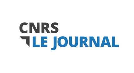 Le CNRS s’émancipe du Web of Science | Bulletin des bibliothèques de France | Veille pour les concours des bibliothèques | Scoop.it