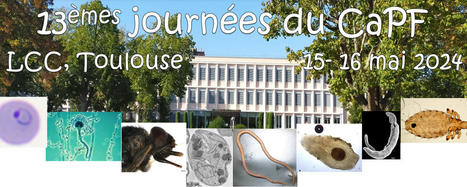 13e CAPF : Consortium antiparasitaire et fongique, 15-16 mai 2024, Toulouse | Variétés entomologiques | Scoop.it