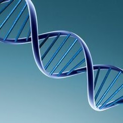 Industrie et Technologies : "Nouvelle victoire pour la thérapie génique | Ce monde à inventer ! | Scoop.it