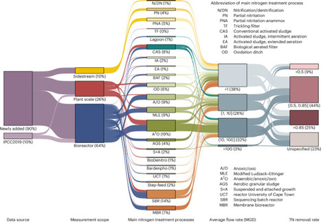 Oversimplification and misestimation of nitrous...