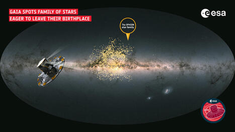 ESA - Gaia spots odd family of stars desperate to leave home | Universo y Física Cuántica | Scoop.it