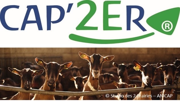 CAP'2ER®, en savoir plus sur l'outil d'&eac...