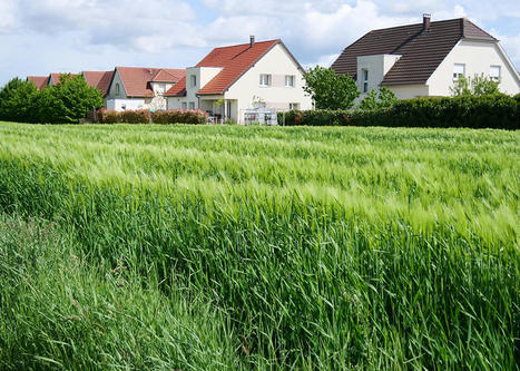 Territorialisation du zéro artificialisation nette : une nouvelle circulaire somme les préfets d'agir dans la semaine | ZAN - Zéro artificialisation nette | Scoop.it