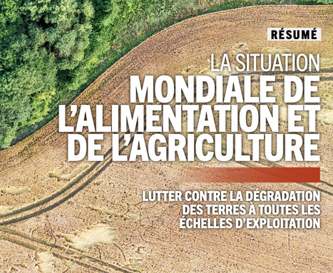 FAO : La Situation mondiale de l’alimentation et de l’agriculture 2025 | Revue de presse - Club DEMETER | Scoop.it