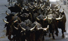 From Romney's dog to Ryan's run, one thing is clear: this election is bulls##t | Electile Dysfunction | Scoop.it