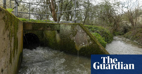 Water companies in England face outrage over record sewage discharges | Water | The Guardian | Coastal Restoration | Scoop.it