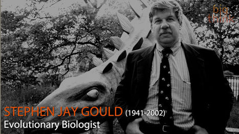 evolution as fact and theory gould