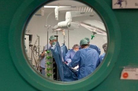 Suisse : Les donneurs d'organes de plus en plus nombreux | Bio&eacute;thique & Procr&eacute;ation | Scoop.it