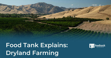 Explains: DRYLAND Farming | CIHEAM Press Review | Scoop.it