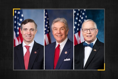 Democrats add 3 more Texas congressional districts to target list | AP Government & Politics | Scoop.it