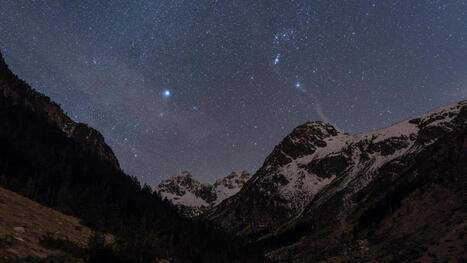 Appel &agrave; projets pour la pr&eacute;servation et restauration de la biodiversit&eacute; nocturne lanc&eacute; par le Parc National | Vall&eacute;es d'Aure & Louron - Pyr&eacute;n&eacute;es | Scoop.it