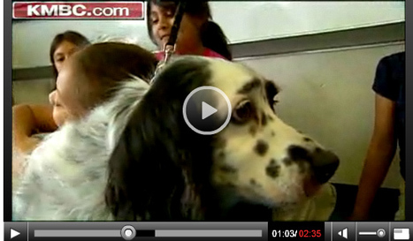 Teaching Compassion: Four-Legged Teacher Helps Fight Bullying - video | Teaching Empathy | Scoop.it