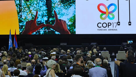 COP17&nbsp;: le vivant au sommet des &Eacute;tats | veille th&eacute;matique | Scoop.it