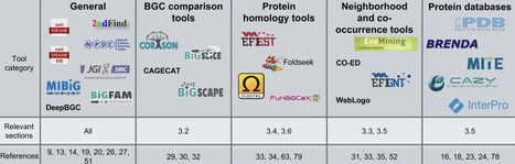 Unlocking hidden enzymatic chemistry in natural product biosynthesis | NPR | RMH | Scoop.it