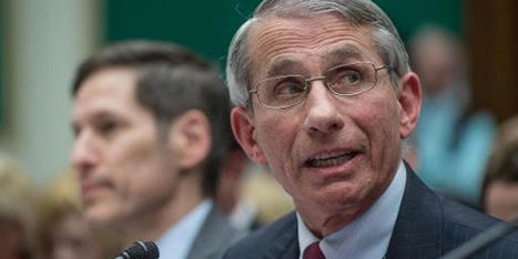 Blame Fox News -- Not Fauci -- For His Reported Refusal To Appear On Murdoch Network - NationalMemo.com | Backstabber Watch | Scoop.it