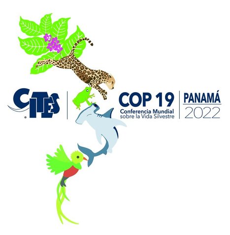 Nombre record d'espèces à réglementer par la CITES après la CoP19 | Biodiversité | Scoop.it