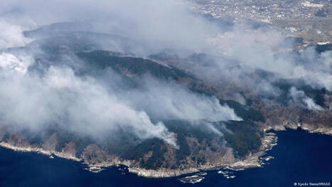 Japan: Raging wildfires cause mass evacuations - dw.com | Operation Deimos | Scoop.it