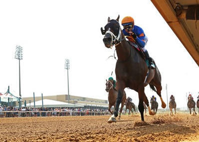 Lack of Optimism After Texas Racing Commission Meeting - BloodHorse | Racing Regulatory Issues | Scoop.it