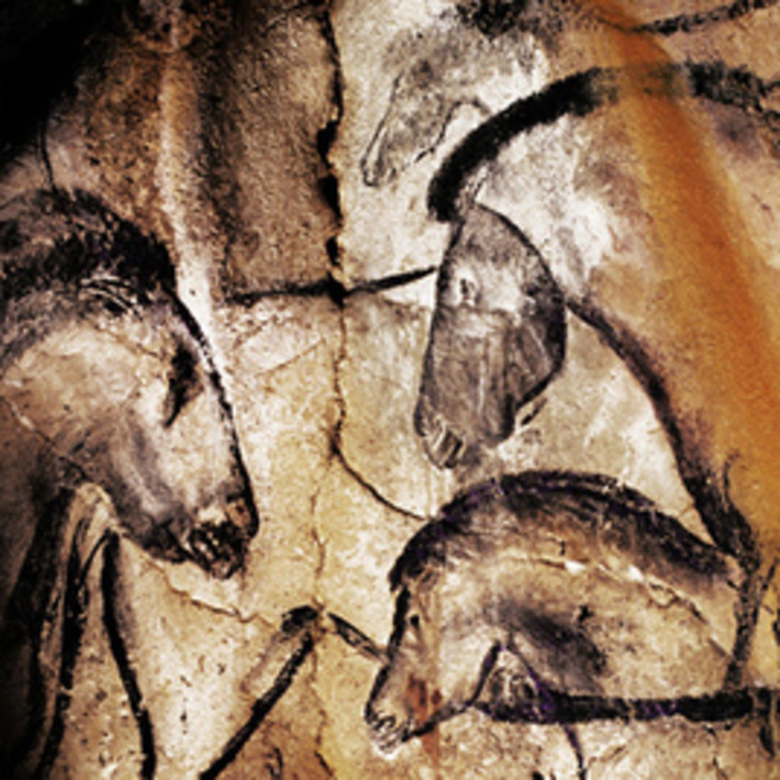 Gallery of Cave Art Paintings from the Chauvet Cave | Visiting The Past | Scoop.it