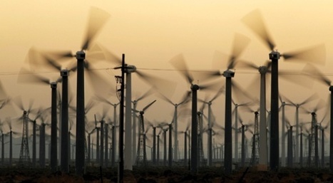 Etats-Unis | Les chauves-souris victimes des éoliennes | Développement Durable, RSE et Energies | Scoop.it