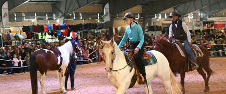 Nouveaux espaces, compétitions inédites et grand spectacle : le Salon du cheval d’Albi passe à la vitesse supérieure en 2025 | Destination Albi - revue de presse | Scoop.it