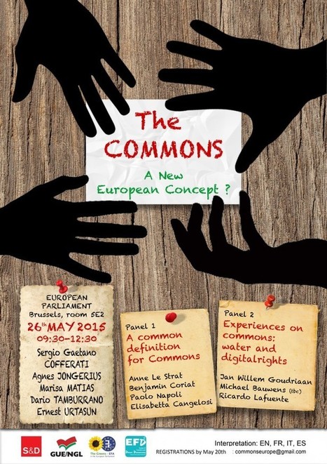 Integrating activism into governance institutions - Commons Transition | Peer2Politics | Scoop.it