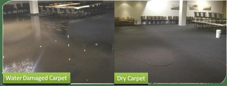 Wet Carpet Drying Melbourne | Flood Damaged Carpet | Flooded Carpet | Capitalrestoration Cleaning | Scoop.it
