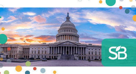 300+ Business Leaders Tell Congress: We Can Build Back Better | Sustainability Science | Scoop.it